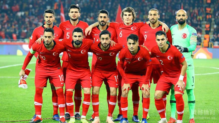 土耳其球星欧洲杯（土耳其欧洲杯人员名单）