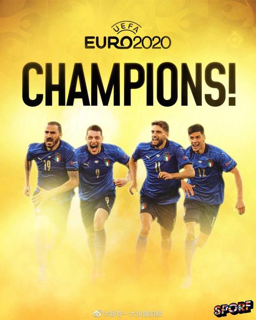 欧洲杯意大利赔谁（欧洲杯意大利赢没）